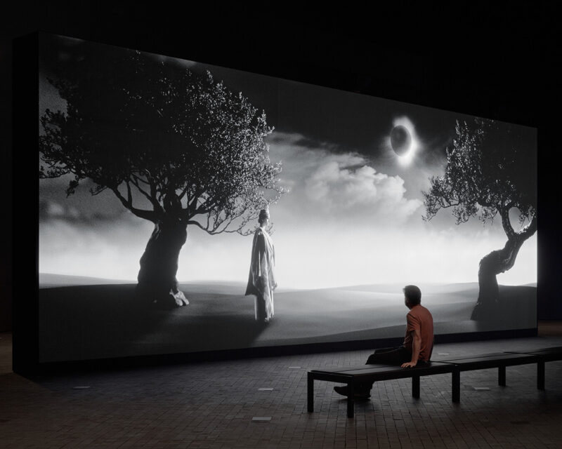 A solitary museum visitor sits in front of a video work, which currently shows a black-and-white image of an olive tree, a female figure, and a cloudy sky.